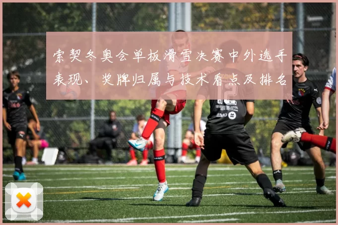 索契冬奥会单板滑雪决赛中外选手表现、奖牌归属与技术看点及排名变化