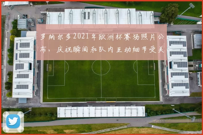 罗纳尔多2021年欧洲杯赛场照片公布，庆祝瞬间和队内互动细节受关注