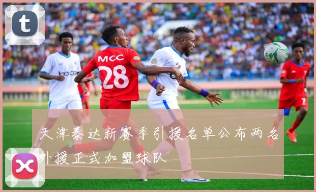 天津泰达新赛季引援名单公布两名外援正式加盟球队