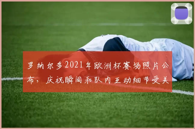 罗纳尔多2021年欧洲杯赛场照片公布，庆祝瞬间和队内互动细节受关注