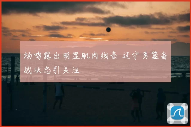 杨鸣露出明显肌肉线条 辽宁男篮备战状态引关注