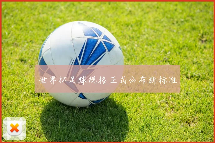 世界杯足球规格正式公布新标准