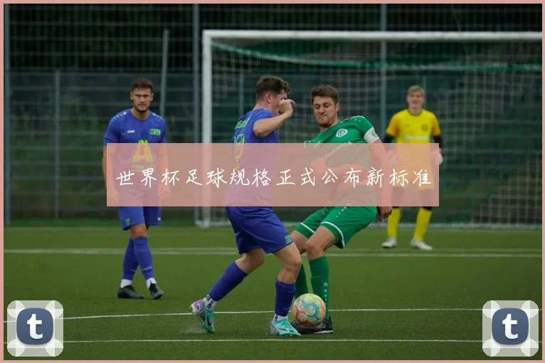世界杯足球规格正式公布新标准