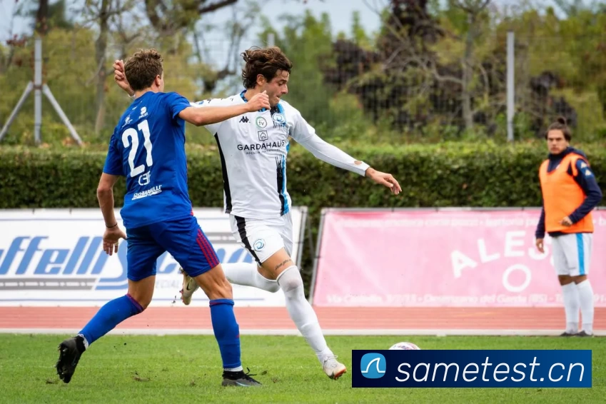 滚球官网app平台生态图